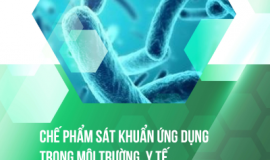SERIES CÔNG TRÌNH KHOA HỌC TIÊU BIỂU: CHẾ PHẨM SÁT KHUẨN ỨNG DỤNG TRONG MÔI TRƯỜNG, Y TẾ